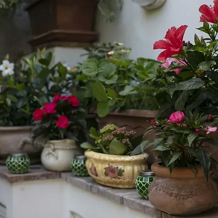 Πανσιόν Casa Pamela Κάπρι