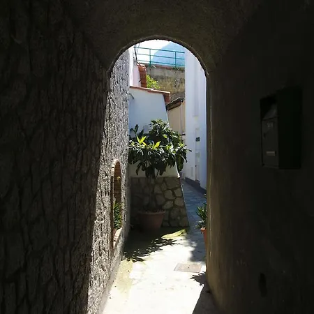 Penzion Casa Pamela *