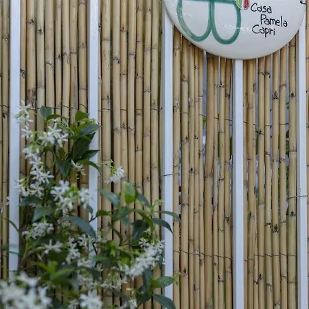 ゲストハウス Casa Pamela カプリ
